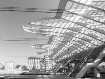 Q 2016_09_Guillemins fertige M1120035