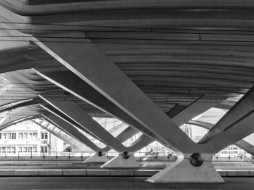 Q 2016_09_Guillemins fertige M1120038