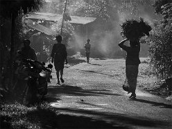 's morgens - Bali