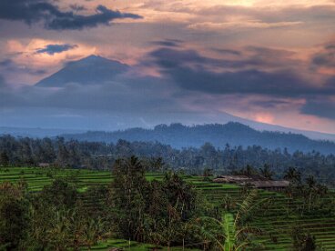 X tmp Agung_vor_Reisterrassen