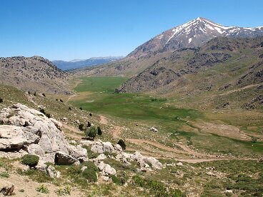 High meadows in Anatolia
