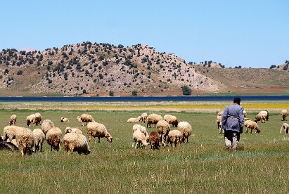 Girdev mountain pasture