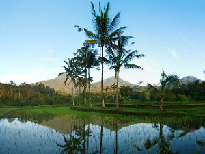 Bali, Indonesia